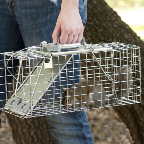 Havahart Easy Set Small 1-Door Animal Trap | Walmart Canada