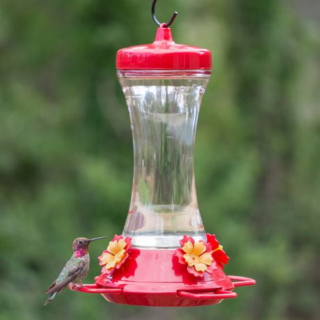 Perky-Pet Adjustable Perch Glass 20 oz Hummingbird Feeder | Walmart Canada