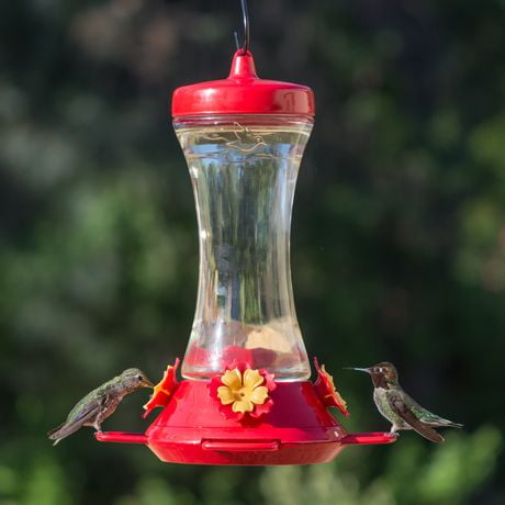 Perky-Pet Adjustable Perch Glass Hummingbird Feeder | Walmart Canada