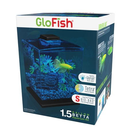 GloFish Kit d'aquarium Betta réservoir de démarrage parfait 1,5 gallons