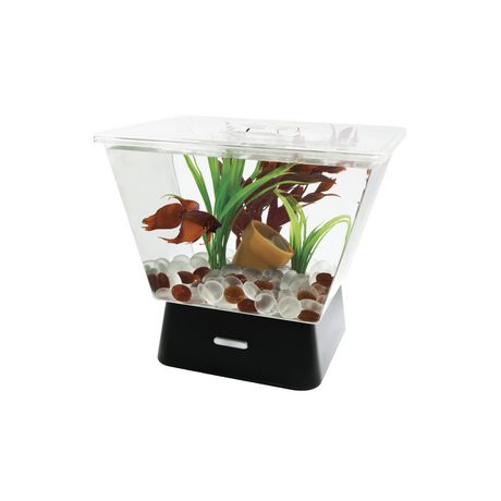 cat proof betta tank