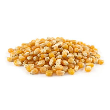 Sunglos PREMIUM Theater grade Unpopped popcorn kernels Butterfly 50lbs ...