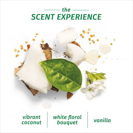 essences herbal coconut infused milk oil crme