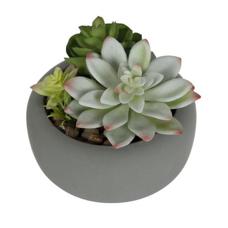 Hometrends Tessier Faux Tabletop Plants in Planter - Walmart.ca