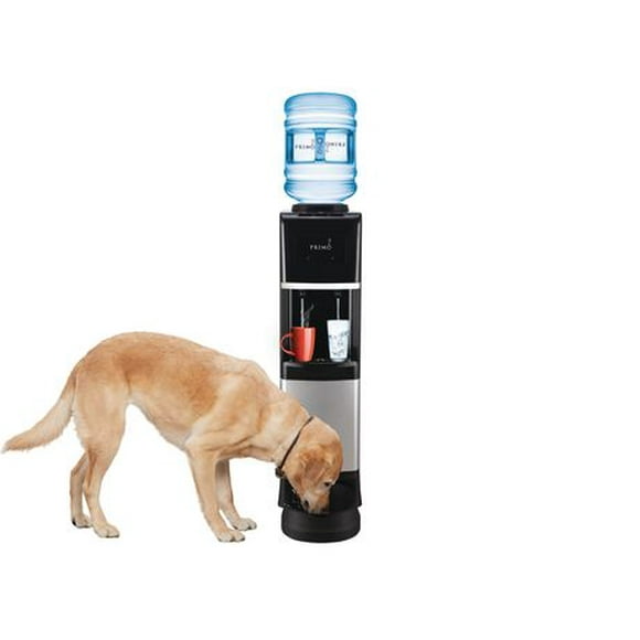 Distributeur d'eau Primo avec espace pour animal domestique