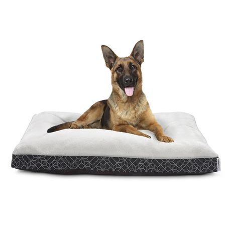 Dog Beds Walmart Canada