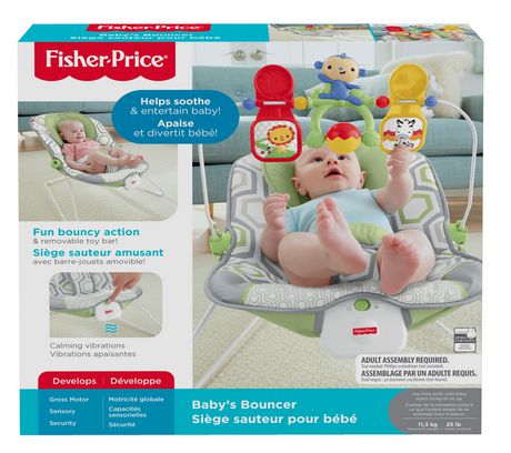 fisher price monkey bouncer batteries