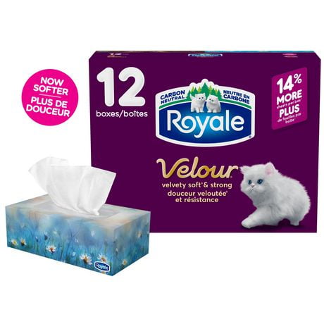 Royale Velour Facial Tissue, 12 Flat Boxes, 82 Tissues per box, 3-Ply, 984 Tissues