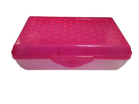 PEN+GEAR LARGE SCHOOL BOX PINK | Walmart Canada