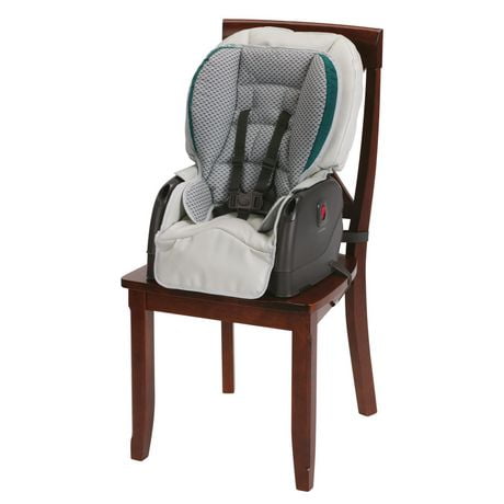 graco blossom 6 in 1 high chair canada