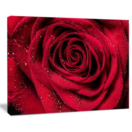 Tableau à toile imprimée florale Design Art Pétales de rose rouge avec gouttelettes de pluie