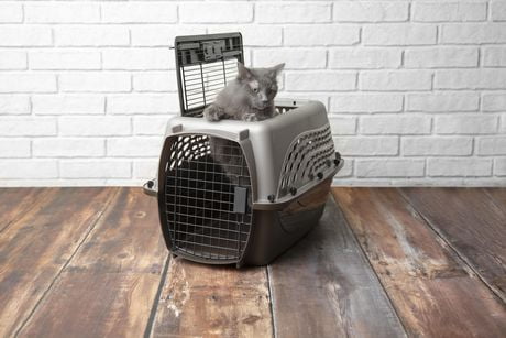Petmate 2 Door Top Load Kennel 24 For Dogs And Cats Walmart Canada