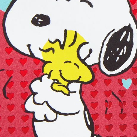 Hallmark Peanuts Valentines Day Cards Pack, Snoopy and Woodstock (10 ...