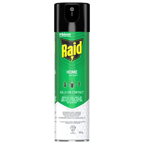 Insecticide Raid contre les insectes domestiques, tue les insectes en question par contact, pour utilisation à l’intérieur et à l’extérieur, 350 g KFCB519