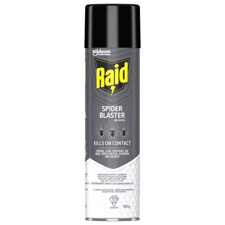 Insecticide Raid Exterminateur d’araignées, tue les insectes au contact, pour utilisation à l’intérieur et à l’extérieur, 350 g 350 g