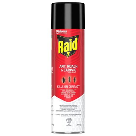 Raid Ant, Roach, Earwig and Crawling Insect Killer, Kills Bugs on Contact, For Indoor and Outdoor Use, 350 g