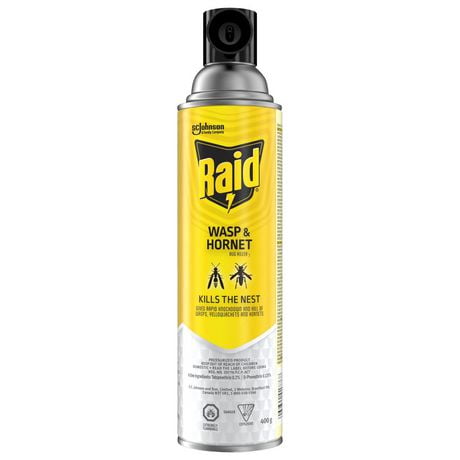 Raid Wasp and Hornet Insect Killer Spray, Kills Bugs on Contact, For Outdoor Use, 400g, 400 g