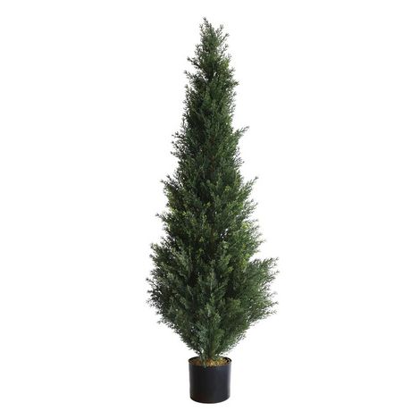 Cypress Tree - Walmart.ca