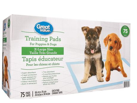 pads puppy classes