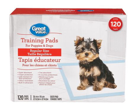 dog pads walmart