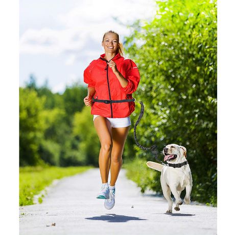 hands free dog leash walmart