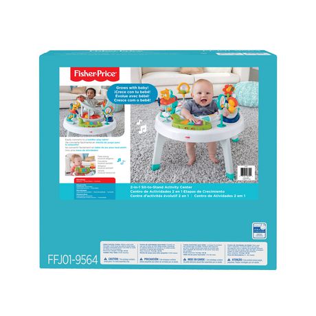 fisher price 2 in 1 activity centre