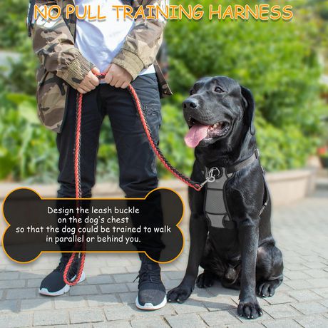 saints dog harness