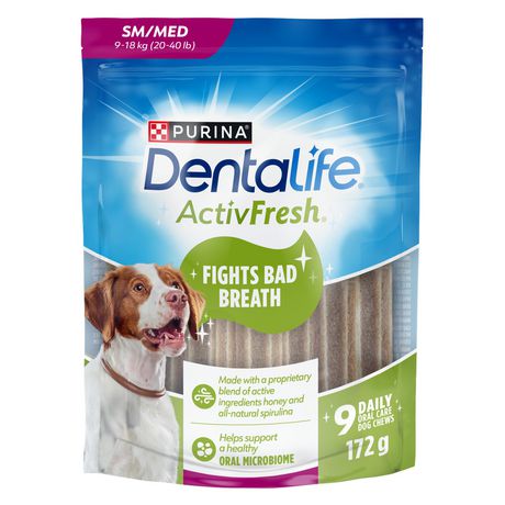 Dentalife large outlet