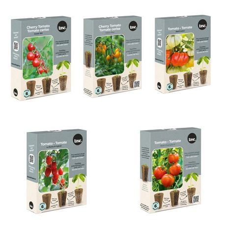 TASC  Flower Bulbes Lovin 'Tomatoes Collection (6 plantes chacune)