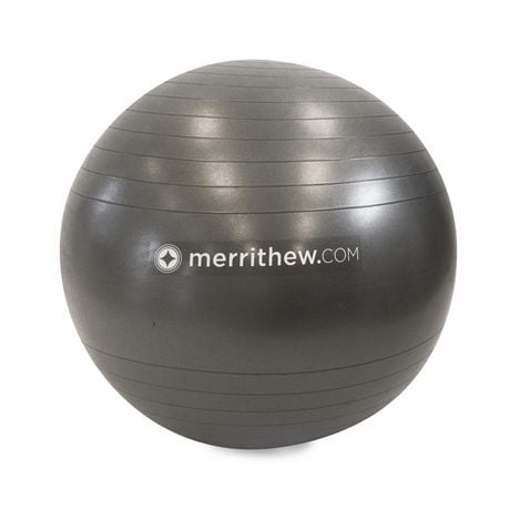 STOTT PILATES Stability Ball (Grey), 30 inch / 75 cm with pump