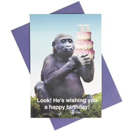 What Do You Meme Birthday Card Gorilla Carte Walmart Canada