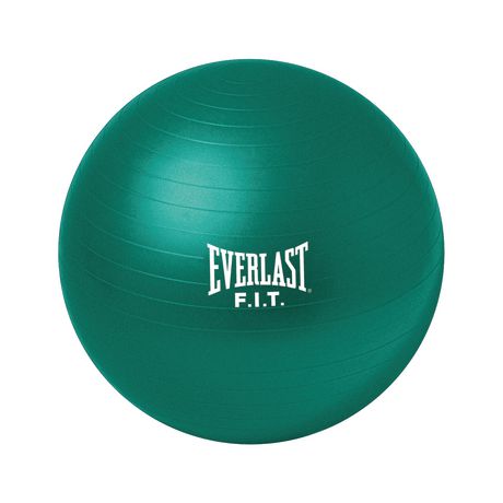 Everlast 75cm Burst Resistant Fitness Ball | Walmart Canada