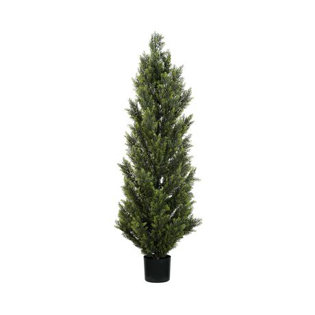 Cypress Tree - Walmart.ca