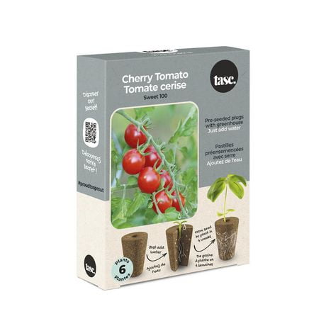 TASC Flower Bulbs Cherry Tomato Lycopersicum Sweetie (6 Plants)