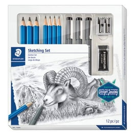 H & B 51 pièces/ensemble Kit de dessin professionnel crayon en bois crayons  à croquis Art croquis peinture fournitures avec sac de transport 