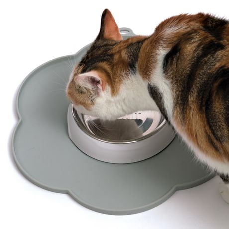 placemat