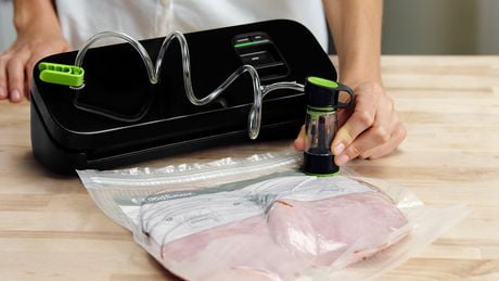 foodsaver sealer