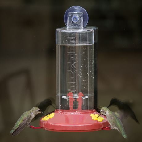 Perky Pet Window Mount Hummingbird Feeder Walmart Canada