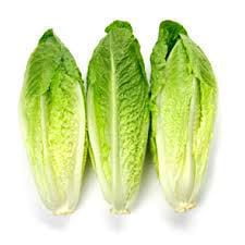 romaine vs romaine hearts romaine vs romaine hearts