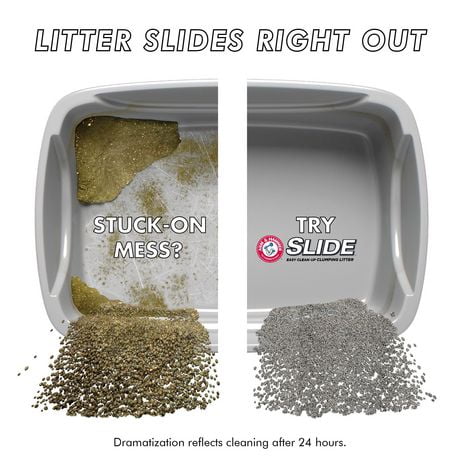 slide cat litter