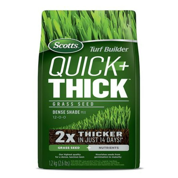 Scotts Turf Builder Quick + Thick Grass Seed Dense Shade, Dense Shade Grass Seed 1.2Kg