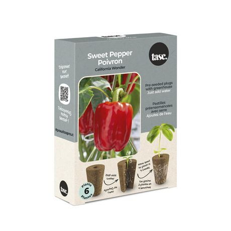 TASC Seed Plugs- Sweet Pepper (6/PKG)