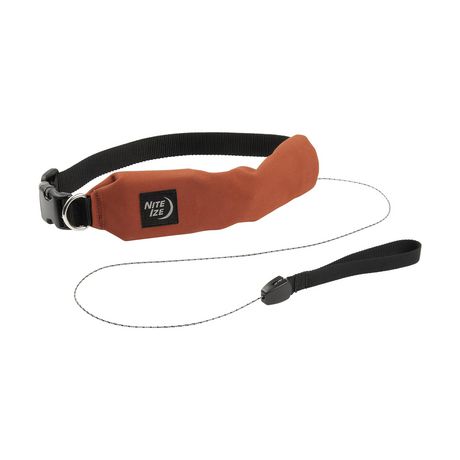 collar leash