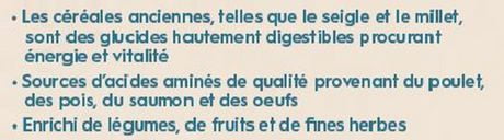 actr1um holistic adult dog food