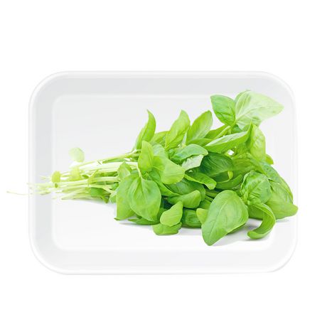 Fresh Basil 1 Tray 0.05 0.11 kg