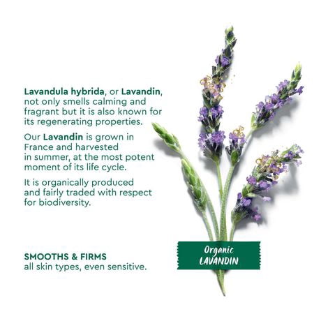 garnier lavender eye cream