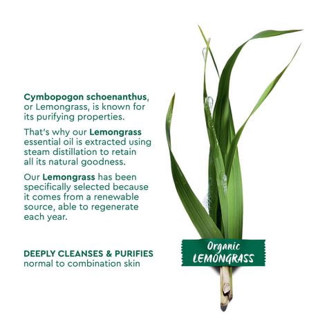 garnier bio purifying gel wash