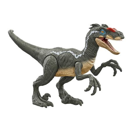 Jurassic World-Vélociraptor Attaque Ultime-Figurine dinosaure Âges 4+