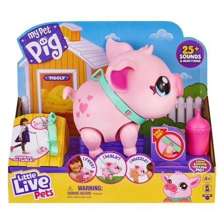 Little Live Pets - My Pet Pig - Walmart.ca