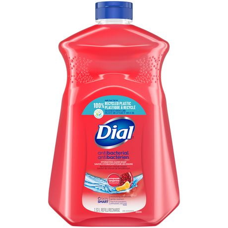 Dial Antibacterial Refill Pomegranate & Tangerine - Plastic Bank, Liquid hand soap refill